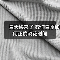 夏天快来了 教你夏季如何正确浇花时间(图1)