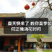 夏天快来了 教你夏季如何正确浇花时间(图2)