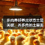 多肉养好养出状态土是关键，养多肉的土里面一定要加点这个！(图3)