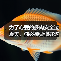 为了心爱的多肉安全过夏天，你必须要做好这9件事(图3)