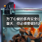 为了心爱的多肉安全过夏天，你必须要做好这9件事(图4)