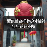 蟹爪兰这样养护才能够年年花开不断(图3)