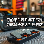 你的吊兰养几年了不是死就是长不大？原来这么养才正确！(图4)