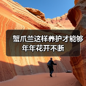 蟹爪兰这样养护才能够年年花开不断(图1)