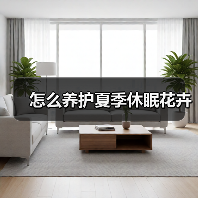 怎么养护夏季休眠花卉(图2)