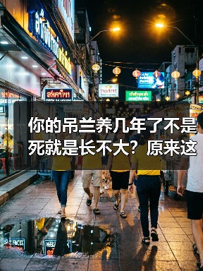 你的吊兰养几年了不是死就是长不大？原来这么养才正确！(图1)