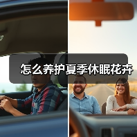 怎么养护夏季休眠花卉(图1)