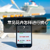 常见花卉怎样进行摘心？(图2)
