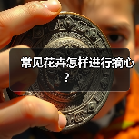 常见花卉怎样进行摘心？(图3)