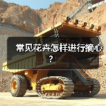 常见花卉怎样进行摘心？(图4)