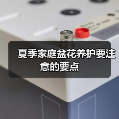 夏季家庭盆花养护要注意的要点(图1)
