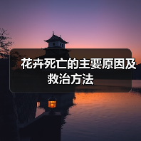 花卉死亡的主要原因及救治方法(图4)
