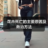 花卉死亡的主要原因及救治方法(图1)