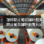 怎样防止菊花脚叶脱落 防止菊花脚叶脱落五法(图1)