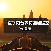 夏季阳台养花要加强空气湿度(图2)