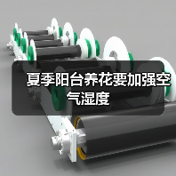 夏季阳台养花要加强空气湿度(图4)