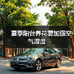 夏季阳台养花要加强空气湿度(图3)
