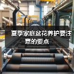 夏季家庭盆花养护要注意的要点(图4)