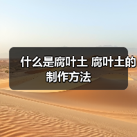 什么是腐叶土 腐叶土的制作方法(图3)