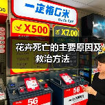 花卉死亡的主要原因及救治方法(图2)