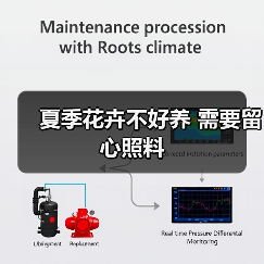 夏季花卉不好养 需要留心照料(图4)
