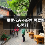 夏季花卉不好养 需要留心照料(图3)