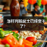 怎样判断盆土已经变干了？(图1)