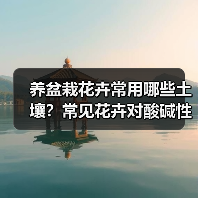养盆栽花卉常用哪些土壤？常见花卉对酸碱性的要求？(图1)