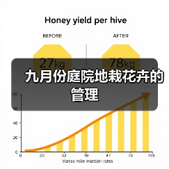 九月份庭院地栽花卉的管理(图1)