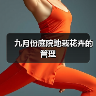 九月份庭院地栽花卉的管理(图4)