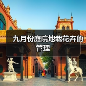 九月份庭院地栽花卉的管理(图3)