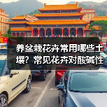 养盆栽花卉常用哪些土壤？常见花卉对酸碱性的要求？(图3)