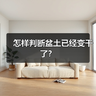 怎样判断盆土已经变干了？(图4)