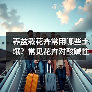 养盆栽花卉常用哪些土壤？常见花卉对酸碱性的要求？(图2)