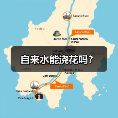 自来水能浇花吗？(图4)