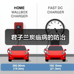 君子兰炭疽病的防治(图3)