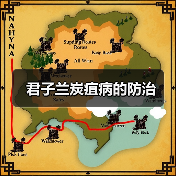 君子兰炭疽病的防治(图4)