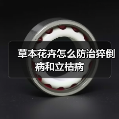 草本花卉怎么防治猝倒病和立枯病(图1)