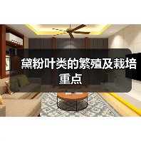 黛粉叶类的繁殖及栽培重点(图1)