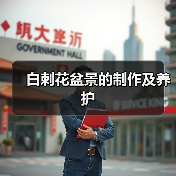白刺花盆景的制作及养护(图3)