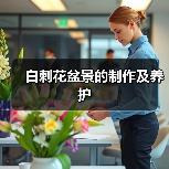 白刺花盆景的制作及养护(图2)