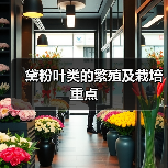 黛粉叶类的繁殖及栽培重点(图2)