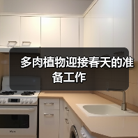 多肉植物迎接春天的准备工作(图1)