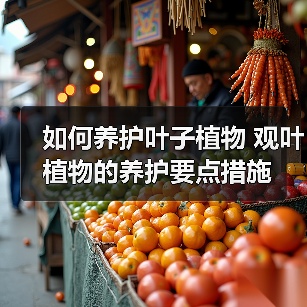 如何养护叶子植物 观叶植物的养护要点措施(图1)