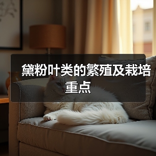 黛粉叶类的繁殖及栽培重点(图3)