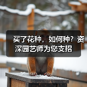 买了花种，如何种？资深园艺师为您支招(图4)