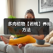 多肉植物【若桃】养殖方法(图3)