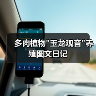 多肉植物玉龙观音养殖图文日记(图2)