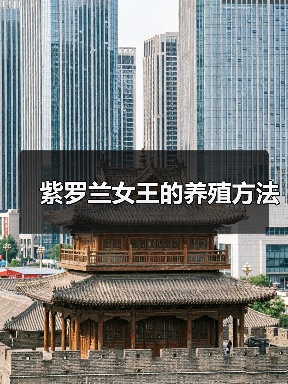 紫罗兰女王的养殖方法(图2)