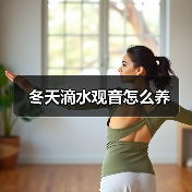 冬天滴水观音怎么养(图1)